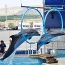 Коктебель - відпочинок на морі в криму, пам'ятки і екскурсії (коктебель відпочинок) Коктебель - відпочинок на морі в криму, пам'ятки і екскурсії