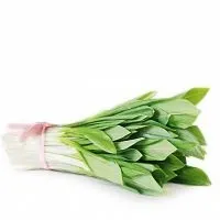 Колба - користь і шкода