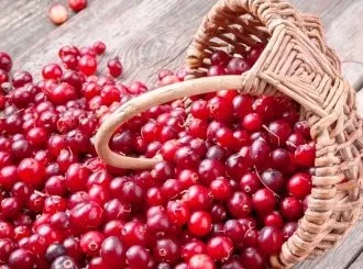 Журавлина для нирок при лікуванні пієлонефриту та інших захворювань