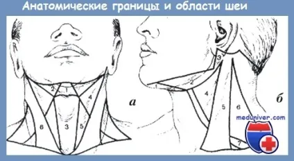 Колоті рани шиї - пошкодження судин (проникаючі просвіт судини) Колоті рани шиї - пошкодження судин