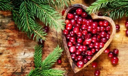Журавлина для нирок користь і шкода при каменях (склянки цукрового піску) Журавлина для нирок користь і шкода при каменях