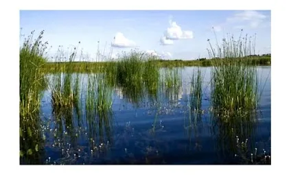 Коли краще клює риба