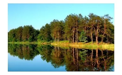 Коли краще клює риба