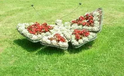 Клумба-метелик своїми руками ідеї і технологія будівництва фігурних клумб (своїми) Клумба-метелик своїми руками ідеї і технологія будівництва фігурних клумб