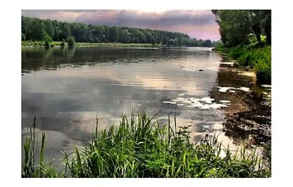 Коли краще клює риба