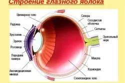 Коричнева точка в оці