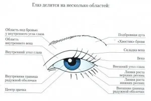 Корекція очей за допомогою макіяжу (очей) Корекція очей за допомогою макіяжу