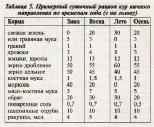 Годування курей несучок в домашніх умовах відео (умовах) Годування курей несучок в домашніх умовах відео