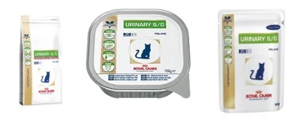 Корм для кішок роял Канін (royal canin) відгуки, аналіз складу (Канін) Корм для кішок роял Канін (royal canin) відгуки, аналіз складу
