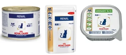 Корм для кішок роял Канін (royal canin) відгуки, аналіз складу (корм для кішок роял Канін) Корм для кішок роял Канін (royal canin) відгуки, аналіз складу