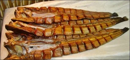 Копчений сом - делікатес до застілля в домашніх умовах (копчений) Копчений сом - делікатес до застілля в домашніх умовах