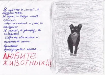 Конкурс дитячого малюнка на тему «бездомні тварини» (конкурс) Конкурс дитячого малюнка на тему «бездомні тварини»