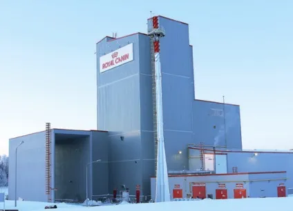 Корм для кішок роял Канін (royal canin) відгуки, аналіз складу (роял) Корм для кішок роял Канін (royal canin) відгуки, аналіз складу