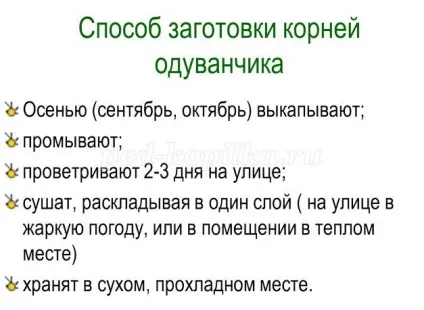 Конспект корекційно-розвиваючого факультативного заняття в 6 класі «кульбаба - сонячна квітка»