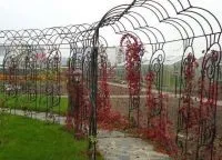 ковані арки