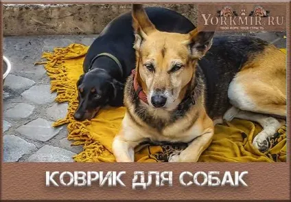 Килимок для собак охолоджуючий, для миски, з обігрівом (собак) Килимок для собак охолоджуючий, для миски, з обігрівом