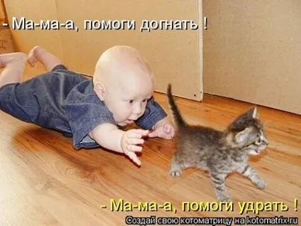 Кішки і діти