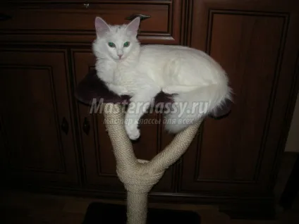 Котяча когтеточка своїми руками (когтеточка) Котяча когтеточка своїми руками
