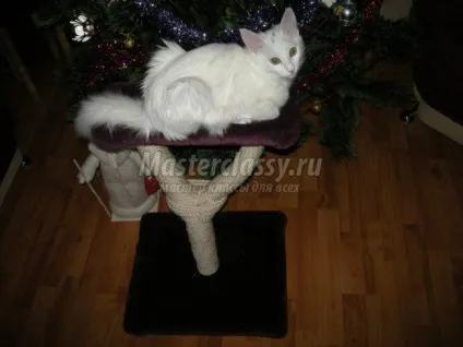 Котяча когтеточка своїми руками (завжди) Котяча когтеточка своїми руками