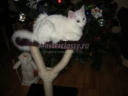 Котяча когтеточка своїми руками (місце) Котяча когтеточка своїми руками