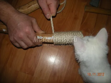 Котяча когтеточка своїми руками (їсти) Котяча когтеточка своїми руками