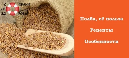 Крупа жито корисні властивості, рецепти страв (страв) Крупа жито корисні властивості, рецепти страв