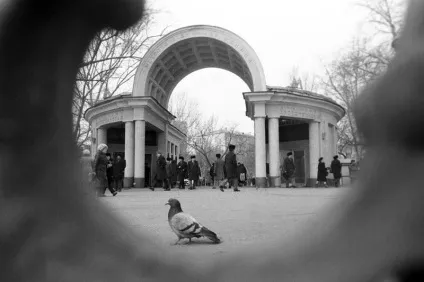 Хто постраждав від знесення торгових павільйонів в москві - відомості (знесення) Хто постраждав від знесення торгових павільйонів в москві - відомості