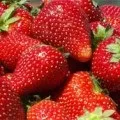 Кукурудза - вирощування і догляд (кукурудза) Кукурудза - вирощування і догляд