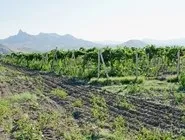 Курорти криму коктебель