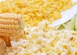 Кукурудза для попкорну
