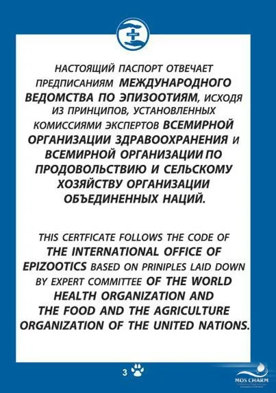 Купити кошеня в москві