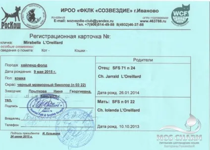 Купити кошеня в москві