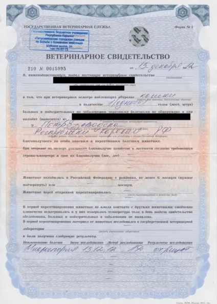 Купити кошеня в москві