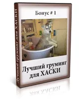 Курс дресирування хаскі в домашніх умовах (курс) Курс дресирування хаскі в домашніх умовах