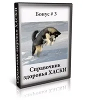 Курс дресирування хаскі в домашніх умовах (умовах) Курс дресирування хаскі в домашніх умовах