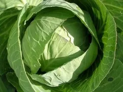 Лікування артрозу суглобів народними засобами