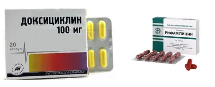 Лікування і профілактика туляремії (лікування) Лікування і профілактика туляремії