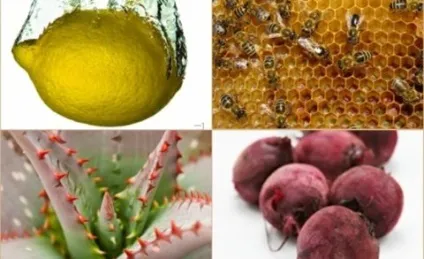 Лікування ангіни народними засобами у дітей (ангіни) Лікування ангіни народними засобами у дітей
