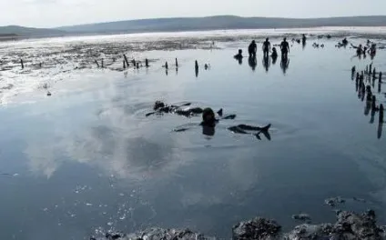 Лікування грязями на озері Чокрак будиночок сімейного відпочинку (Чокрак) Лікування грязями на озері Чокрак будиночок сімейного відпочинку