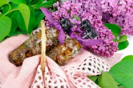 Лікування настоянкою бузку - здорове довголіття (бузку) Лікування настоянкою бузку - здорове довголіття
