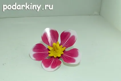 Лайтбокс для предметної зйомки робимо своїми руками (своїми) Лайтбокс для предметної зйомки робимо своїми руками