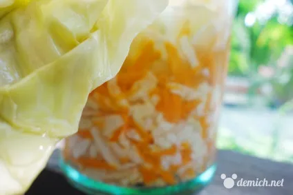 Квашена капуста без солі