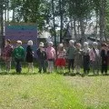 Літо в дитячому садку «теремок» (доу) Літо в дитячому садку «теремок»