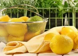 Лімончелло в домашніх умовах (на самогоні, горілці) рецепти (домашніх) Лімончелло в домашніх умовах (на самогоні, горілці) рецепти