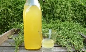 Лімончелло в домашніх умовах (на самогоні, горілці) рецепти (самогоні) Лімончелло в домашніх умовах (на самогоні, горілці) рецепти