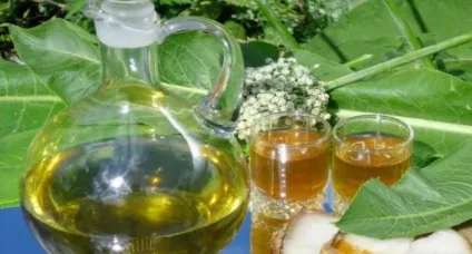 Листя хрону корисні і лікувальні властивості застосування лікування (корисні) Листя хрону корисні і лікувальні властивості застосування лікування