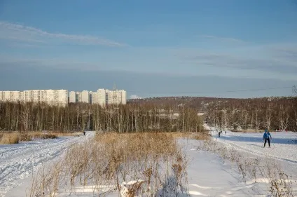 Лижня в Бітцевському лісі - Підмосков'ї вихідного дня (Підмосков'ї) Лижня в Бітцевському лісі - Підмосков'ї вихідного дня