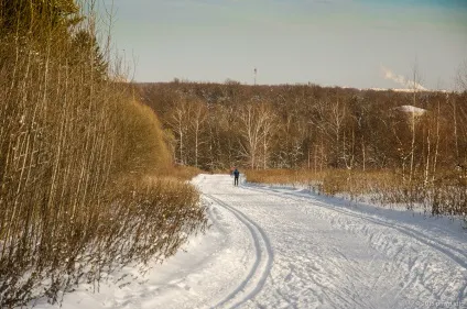 Лижня в Бітцевському лісі - Підмосков'ї вихідного дня (Бітцевському) Лижня в Бітцевському лісі - Підмосков'ї вихідного дня