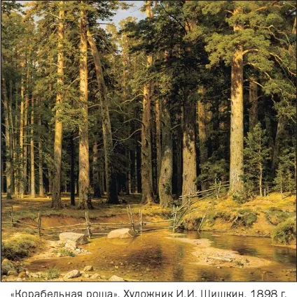Ліс - це