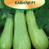Кращі сорти кабачків - фото, опис, день дачника (кращі) Кращі сорти кабачків - фото, опис, день дачника